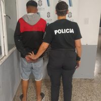 Detenido por Circular con el carro tirado por un caballo y chocar a un auto