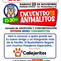 Bus Solidario: SEGUNDO ENCUENTRO POR LOS ANIMALITOS