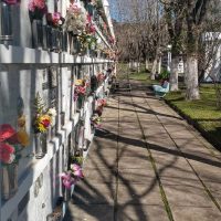 Quejas por el Cementerio de Berisso