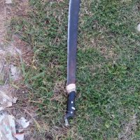 Increíble: Atacó a machetazos el perro de su vecino