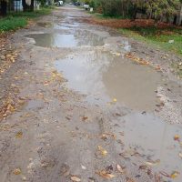 Vecinos de Calle 37 en Berisso Exigen Atención Urgente por el Estado de la calle