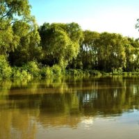 Isla Paulino de Berisso: Un Edén Fluvial con Historia y Encanto