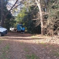 Hallan Sin Vida a un Hombre en Los Talas: La Justicia Investiga «Homicidio Culposo»