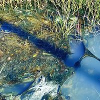 Reclamo vecinal por zanjas tapadas, calles en mal estado y basura