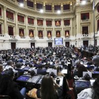Uno a Cero: la Cámara Baja rechazó el veto a la Ley de Emergencia en Discapacidad