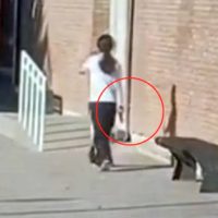 AHORA: Una nena está atrincherada y armada en una Escuela
