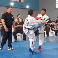 Gran Convocatoria en Berisso: Se desarrolla el Campeonato Ciudad del Inmigrante de Taekwondo ITF