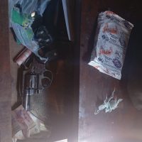 Desarticulan un Aguantadero en Berisso: Secuestran Armas, Drogas y Detienen a Dos Hombres