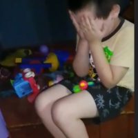 El Ruido que Silencia la Empatía: El Daño de la Pirotecnia Sonora