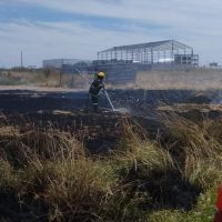 Otro incendio, otro pastizal