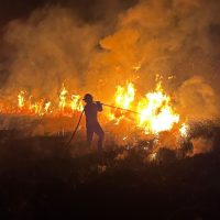 Preocupan los incendios de pastizales en Berisso