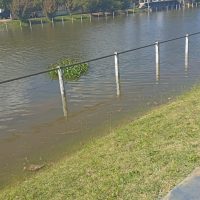 HUELLAS DE UNA SUDESTADA