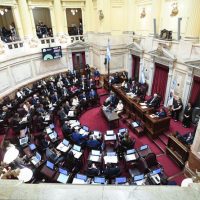 Senado bajó la edad de imputabilidad a 14 años pero sin Carcel