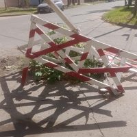 CUMPLE CUATRO MESES EL «MACETERO» DE ABSA