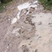 Vecinos de la Calle 147 Norte en Berisso denuncian abandono y exigen obras urgentes tras años de reclamos