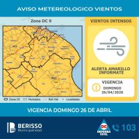 Alerta Amarilla: Se esperan vientos intensos y ráfagas de hasta 80 km/h en la región
