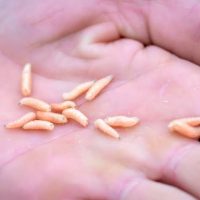 Denuncian graves irregularidades sanitarias y maltrato laboral en la Guardería Evita