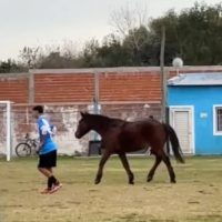 La Villa no «mete el perro» mete el caballo