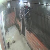 Vecinos de Berisso, en alerta y «hartos»: quedó filmado mientras saltaba una reja para robar una bicicleta.