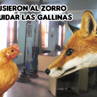 LA TRAMPA IMPOSITIVA EN BERISSO: CUANDO EL ZORRO TERMINA CUIDANDO LAS GALLINAS