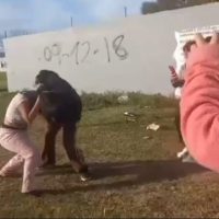 Preocupante: la Violencia entre alumnos no frena