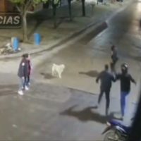 Padre e hijo golpearon a un delincuente para recuperar un celular robado en Berisso