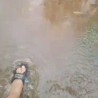 Berisso: Con apenas 35 milímetros de lluvia ya se sienten los problemas