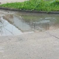 Desbordes cloacales e inmundicia en Berisso: colapso de la red en la calle 14