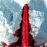 El enigma bajo el hielo: revelan los secretos de las Cataratas de Sangre de la Antártida