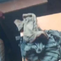 SOLIDARIDAD: TRAS LAS ÚLTIMAS LLUVIAS, ALEJANDRA PERDIÓ TODO Y NECESITA DE LA AYUDA DE TODOS