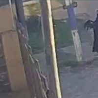 ABANDONÓ A UN CACHORRO EN VILLA PROGRESO Y HUYÓ