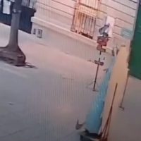 VIDEO VIRAL: LA VIRGEN DE LUJAN CAMINÓ? VIENTO O MILAGRO