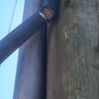 QUEDÓ PEGADO: DETIENEN A UN HOMBRE DE 45 AÑOS INTENTANDO ROBAR CABLES