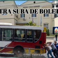 NUEVO AUMENTO DE TRANSPORTE: A PARTIR DEL 1° DE NOVIEMBRE AUMENTAN LOS COLECTIVOS EN LA PLATA, BERISSO Y ENSENADA
