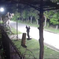 ASÍ SE ROBAN LAS LUCES LED DE BERISSO